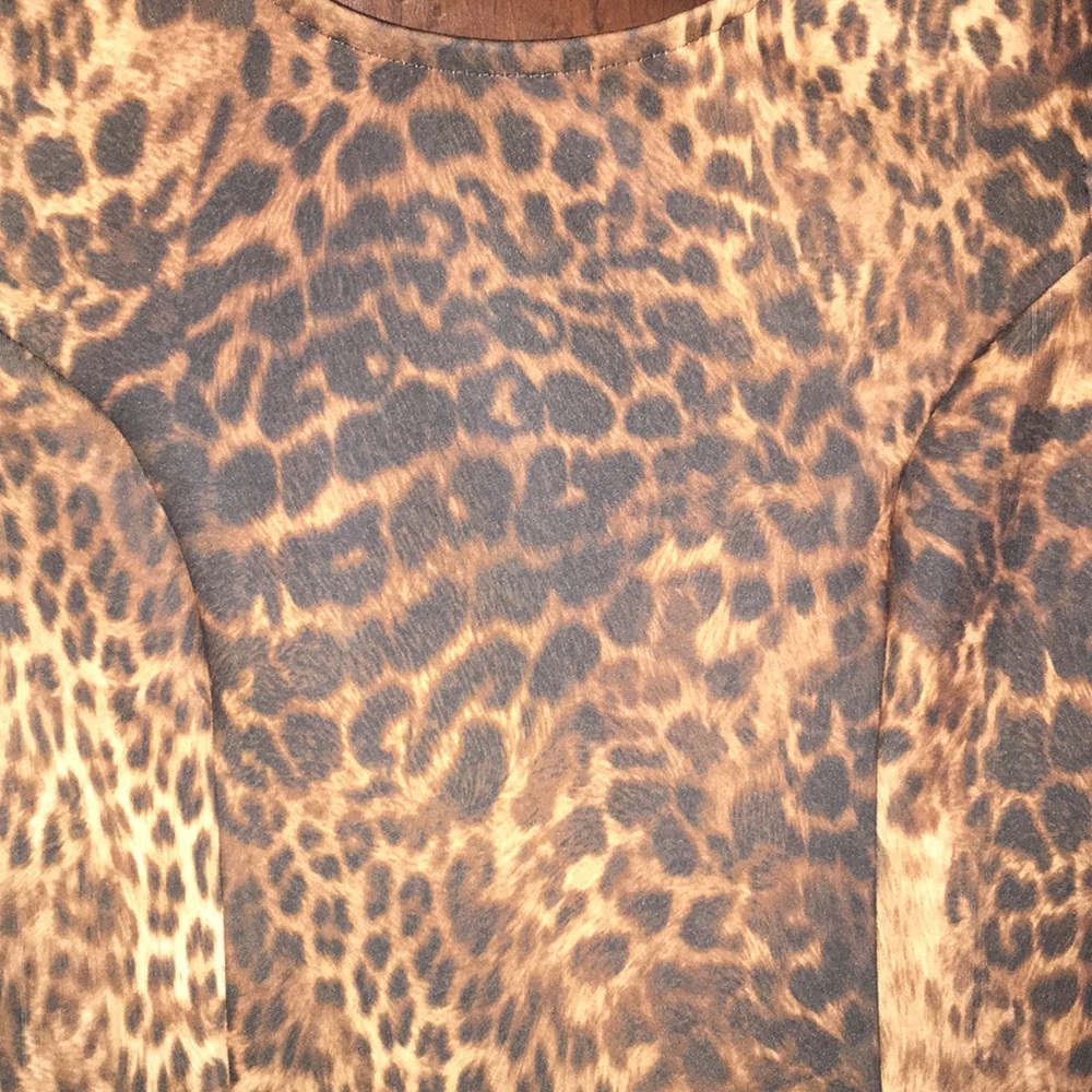 Lovely Miss Selfridge animal print dress, size 10. - Picture 4 of 7